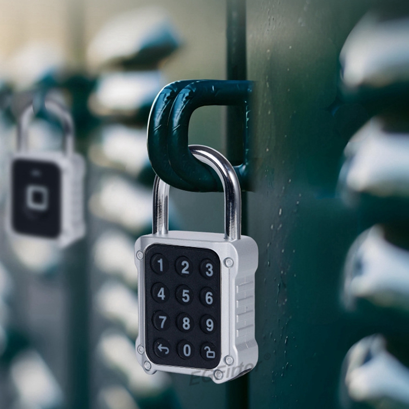 Tuya Bluetooth APP Remote Elec - Lockbox Key Secure incelemesi ve fiyatı
