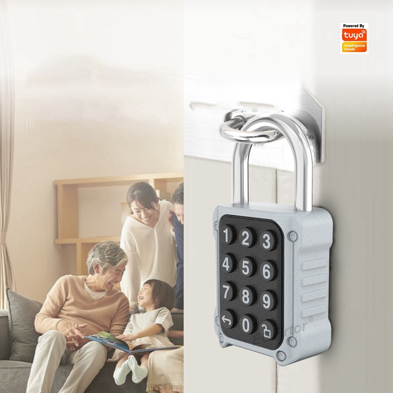 Tuya Bluetooth APP Remote Elec - Lockbox Key Secure incelemesi ve fiyatı